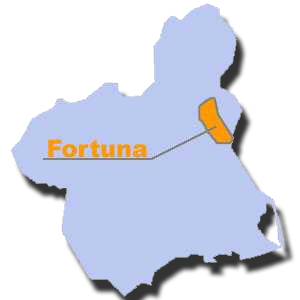 Fortuna